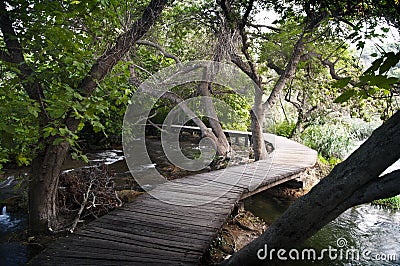 Wooden hiking trail in a forest - Krka Park, Croatia Stock Photo