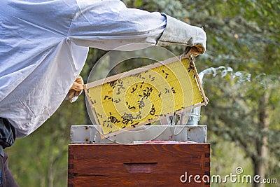 Wooden hive for bees, beekeeping, honey, health, healthy life Stock Photo