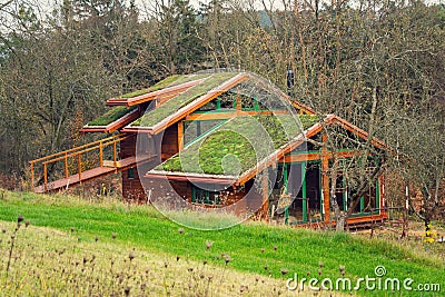 Wooden house with extensive green living roof covered with vegetation Stock Photo