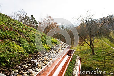 Wooden house with extensive green living roof covered with vegetation Stock Photo