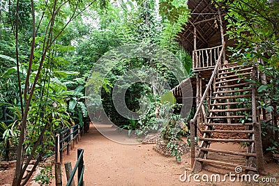 Wooden house in the forest Stock Photo