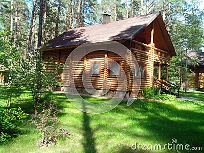 A wooden house in pine forest Stock Photo