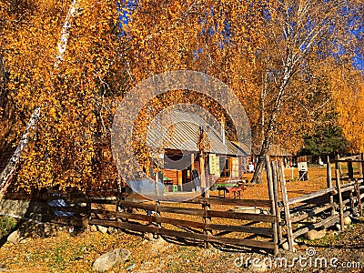 Autumn Baihaba village in Xinjiang, China Editorial Stock Photo