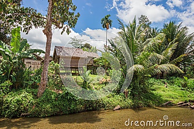 Wooden houses on stilts with palm on riverbank in indonesia Stock Photo