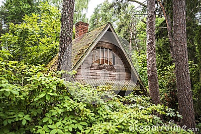 Wooden hut and rhododendrons in forest. The arboretum at Lacupite, Latvia Stock Photo