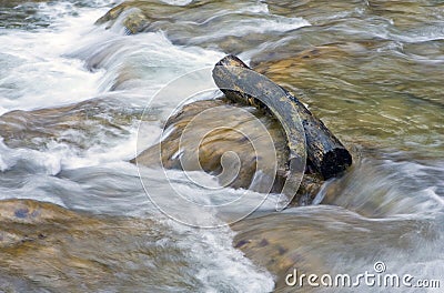 Wooden log in water Stock Photo