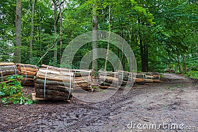 Wooden logs bundled Stock Photo