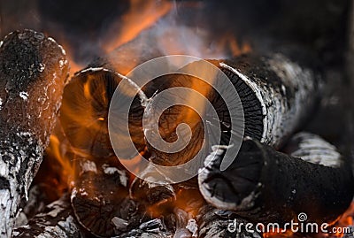 Wooden logs covered with fire in a campfire Stock Photo