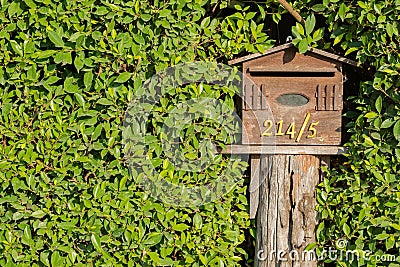 Mailbox in Bush Fence Stock Photo