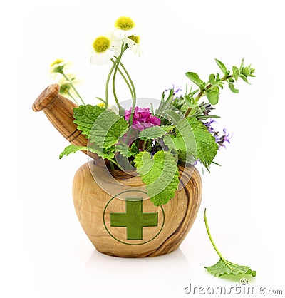 Wooden mortar with pharmacy cross and fresh herbs Stock Photo