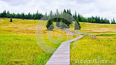 Wooden mountain trail through the marshes and peat bogs leading to PILGRIMS Stock Photo