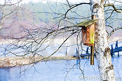 Wooden nesting box bird house on the tree outdoor. Winter. Stock Photo