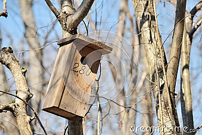 Wooden nesting box hanged on a tree in the garden Stock Photo