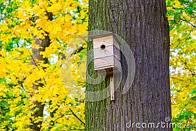 Wooden Nesting Box on Tree Trunk Stock Photo