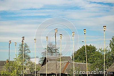 Wooden nesting boxes birdhouses on the blue sky bird`s hostel. A lot of bird houses on one tree.Community concept.Living space Stock Photo