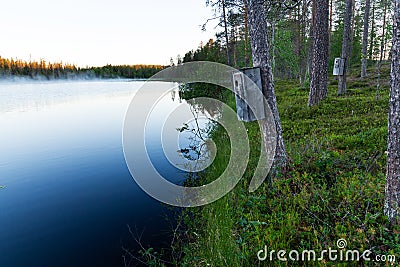 Wooden nesting boxes for duck waterbirds Stock Photo