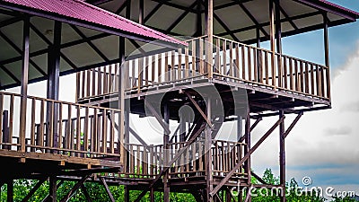 Wooden observation tower at Kutai National park, Stock Photo