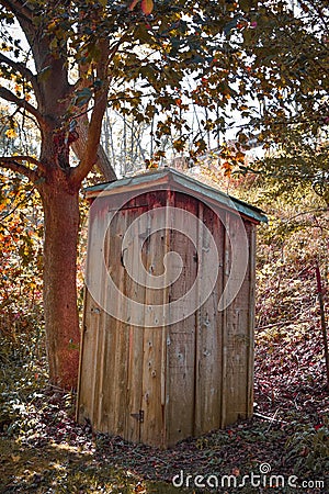 Wooden Outhouse Privy in the Woods Stock Photo