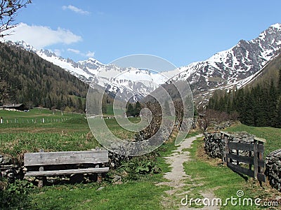 Wooden Park Bench Stock Photo