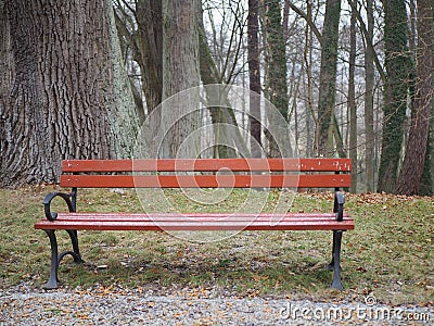 Wooden park bench in autumn, alone, empty Stock Photo