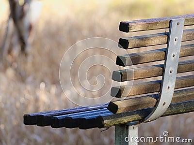 Park bench overlooks a section of flooded wetland Stock Photo