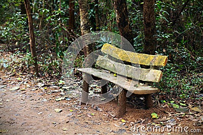 Wooden park bench, sitting area in the woods Stock Photo