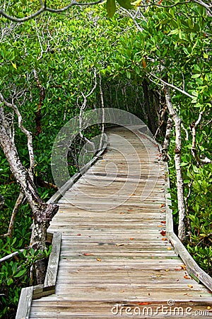 Wooden Path Stock Photo