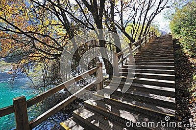 Wooden path in autumn forest Stock Photo