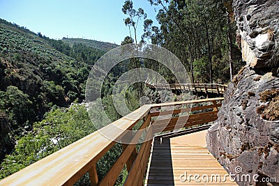 Wooden path in the forest Stock Photo