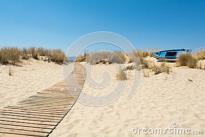 Wooden path leads to the beach Stock Photo