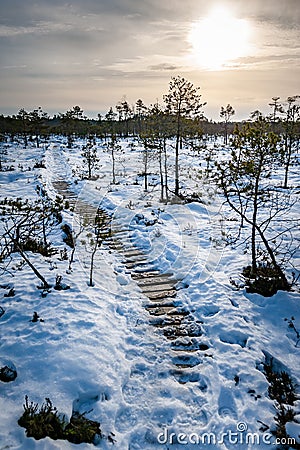 Wooden path through marsh covered with snow. Stock Photo
