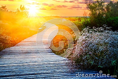 Wooden path at sunset Stock Photo