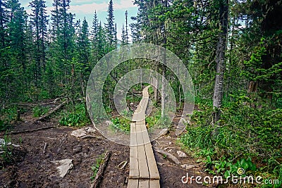 Wooden path in the taiga in the Ergaki natural park Stock Photo