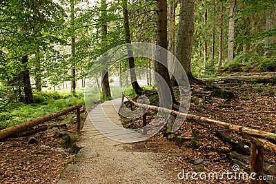 Wooden pathway at Arber Lake (GroÃŸer Arbersee) Stock Photo