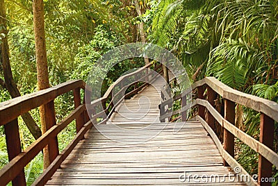 Wooden pathway bridge in tropical forest Stock Photo