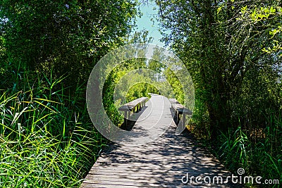 Wooden pathway in the forest with wood bench aside in la test de buch france Stock Photo
