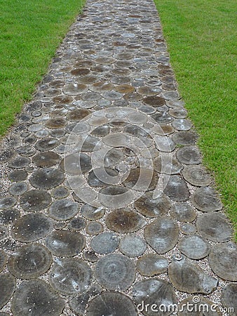 Wooden pavement in a garden Stock Photo