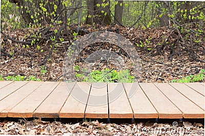 Wooden pavement in a park Stock Photo