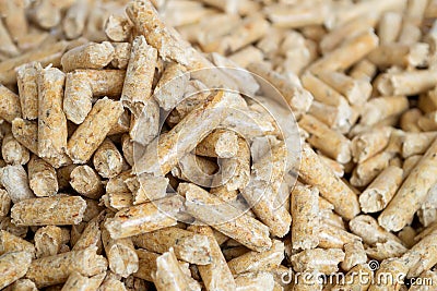 Wooden pellets close up with selective foocus. Alternative biofuel from sawdust for burning in furnaces and stoves. Cat and hamste Stock Photo