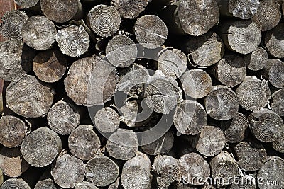 Wooden pit props Stock Photo