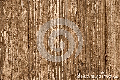 Wooden plank background, warm light-brown color, vertical boards, wood texture, old table (floor, wall), vintage Stock Photo