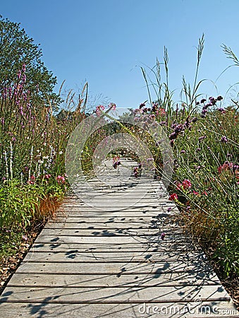 Wooden plank walkway in a landscaped park Stock Photo