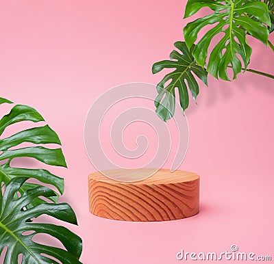 Wooden podium stage cylinder for show product with green Monstera leaf Stock Photo