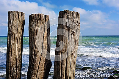 Wooden poles Stock Photo