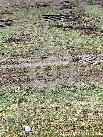 Wooden poles wet from rain on the grass surface with tyre traces in wet soil Stock Photo