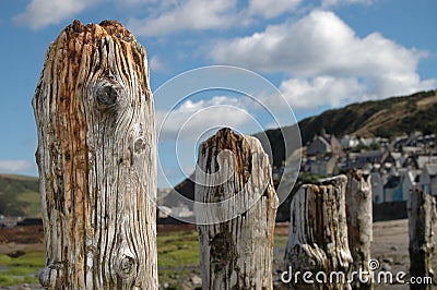 Wooden posts on beach in Gardenstown, Scotland Stock Photo