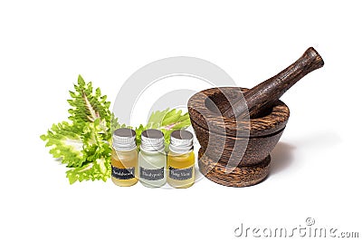 Wooden pounder with bottles of organic oils Stock Photo