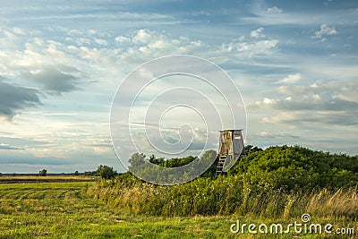 Wooden pulpit in the bushes on the meadow Stock Photo