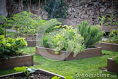 Wooden raised beds in the garden Stock Photo