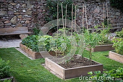 Wooden raised beds in the garden Stock Photo